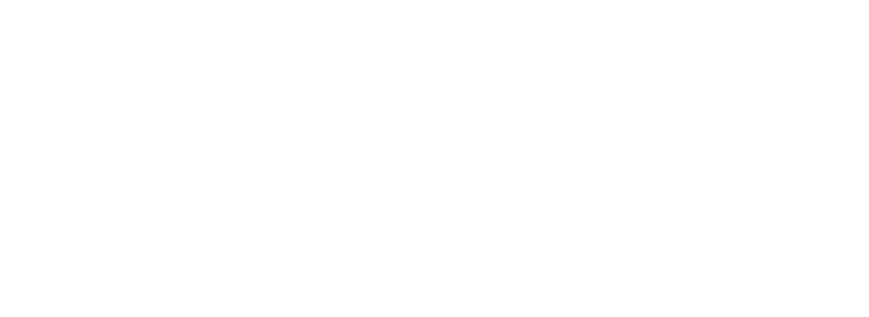 VISION DYNAMIC